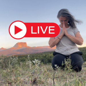 Conscious Awakening - Live Test