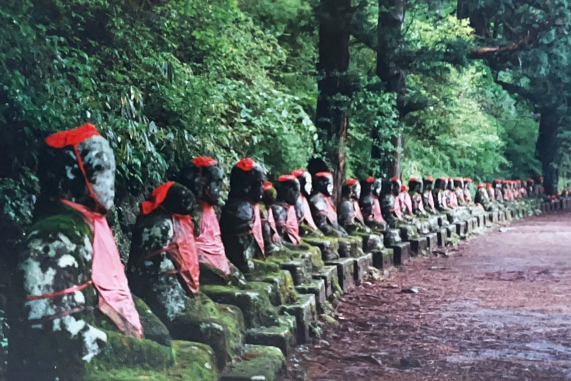forest bathing shinrin-yoku