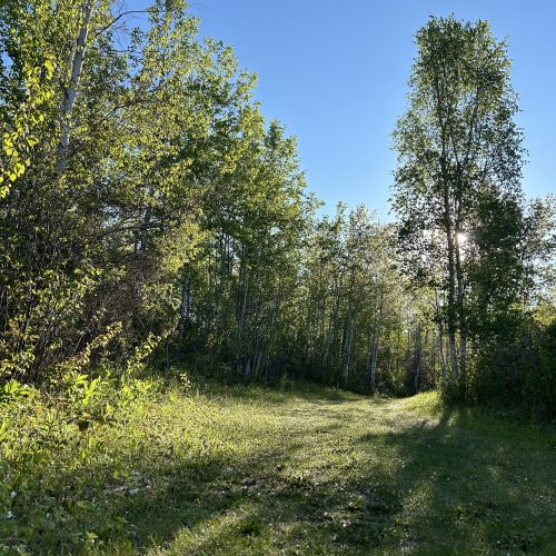 forest bathing St Albert Edmonton Alberta