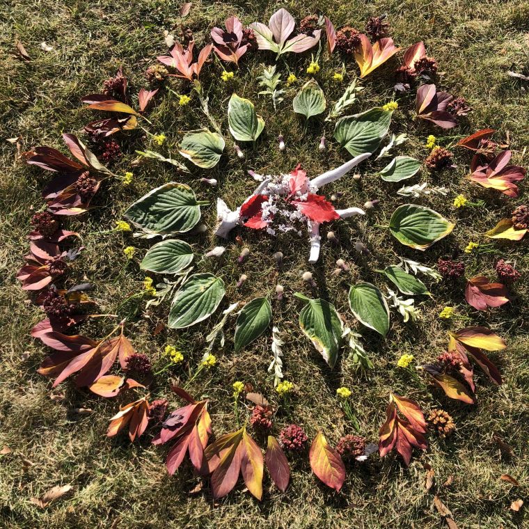 leaf mandala forest mindfulness walking meditation