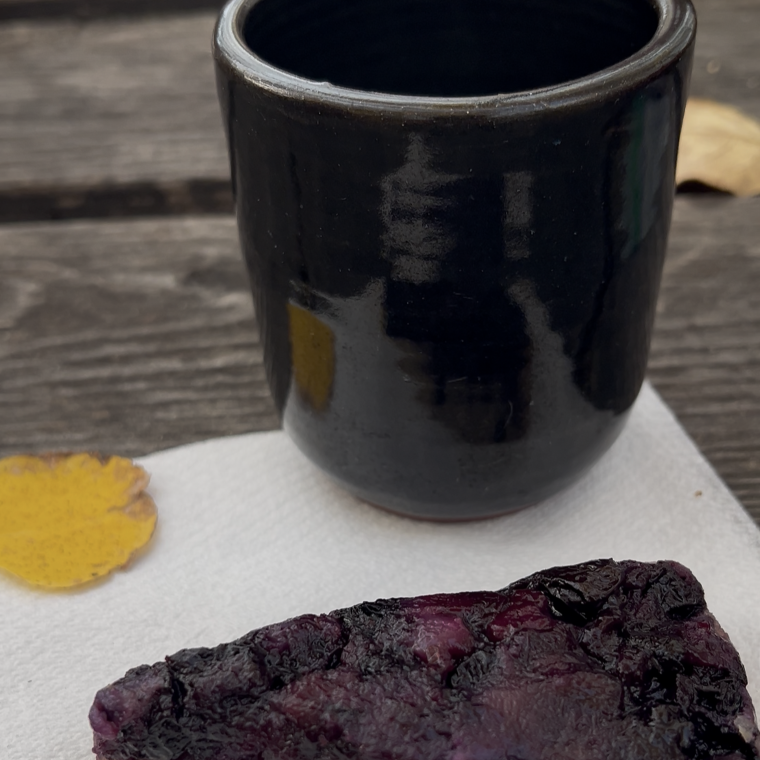 tea ceremony during forest bathing in St Albert